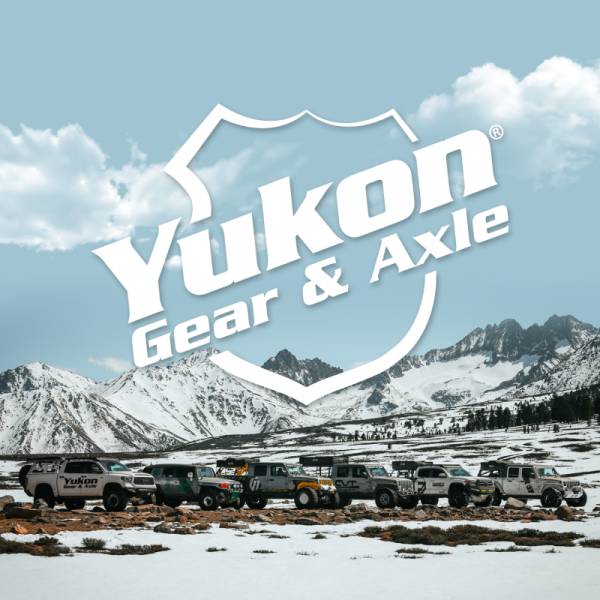 Yukon Gear & Axle - Yukon Gear & Axle Master Overhaul Kit 2017+ Ford F-350/450/550 Super Duty 300mm Rear - YK DM300