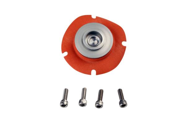 Aeromotive - Aeromotive EFI Regulator Repair Kit (for 13110) - 13004