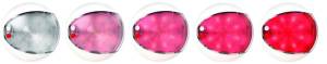 Hella - Hella EUROLED 130 TOUCH WHT/RED WHITE BEZEL MV - 959950121 - Image 4