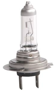 Hella - Hella Bulb - H7 24V DP - Image 1