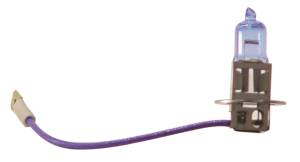 Anzo USA Super White Headlight Bulb Assembly,  12V - 800013