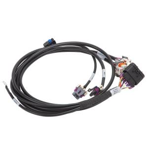 Edelbrock - Edelbrock Pro Flo 4 IAC Ignition Harness 58X Gen IV LS - 35714 - Image 1