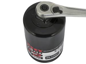 aFe - aFe Pro GUARD D2 Oil Filter 97-08 Ford Trucks V6 4.2L / V8 4.6L (4 Pack) - 44-LF007-MB - Image 2