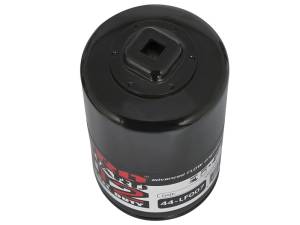 aFe - aFe Pro GUARD D2 Oil Filter 97-08 Ford Trucks V6 4.2L / V8 4.6L (4 Pack) - 44-LF007-MB - Image 3