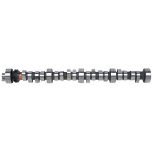 Edelbrock - Edelbrock SBF Hydraulic Roller Cam - 2221 - Image 3
