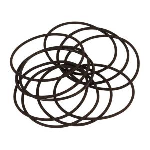 Aeromotive - Aeromotive Replacement O-Ring (for 12301/12304/12306/12307/12321/12324/12331) (Pack of 10) - 12001 - Image 1