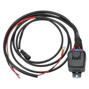 Edelbrock - Edelbrock Pro-Flo 4+ EFI Wiring Harness and Radiator Fan Relay Module - 36115 - Image 1